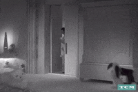 Jean Harlow Mgm GIF by Turner Classic Movies