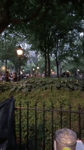 Fireworks Mistaken for Gunshots Cause Panic at NYC's Washington Square Park After Pride March
