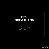 Grow Special Forces GIF by George Longovitis