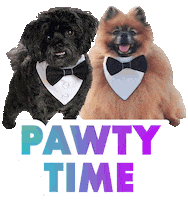 Party Celebrate Sticker