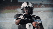Eagles Ak GIF by UCF Knights