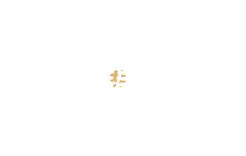 Deinewelledeinleben Sticker by Meer Leben e.V.