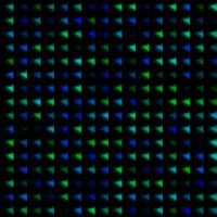 processing gif artist GIF by Myrto Amorgianou - Ruins Digitales