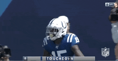 Regular Season Football GIF by NFL