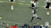 Seattle Seahawks Football GIF by NFL