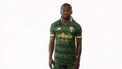Portland Timbers GIF by Timbers