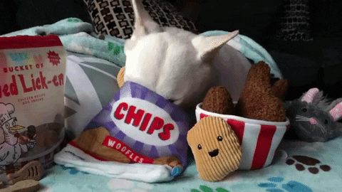 GIF by KeepUpWithJazAndYumi