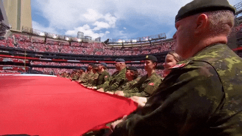 Proud Blue Jays GIF by Toronto Blue Jays