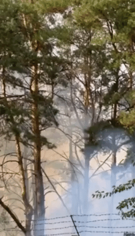 Shelling Sparks Forest Fire Near Ukraine's Mykolaiv
