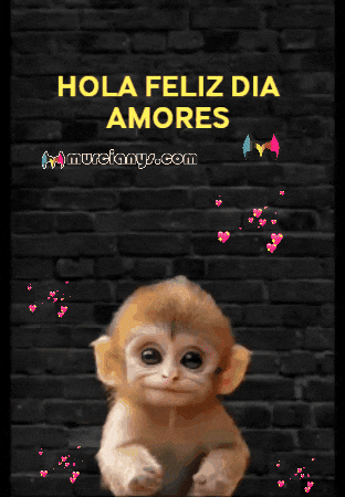 Feliz Amigos GIF by Murcianys LLC