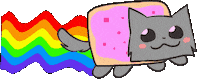 theradboi cat cute nyan cat theradboi Sticker