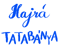 Kézilabda Tatabanya Sticker