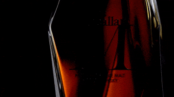 single malt whiskey GIF by The Macallan