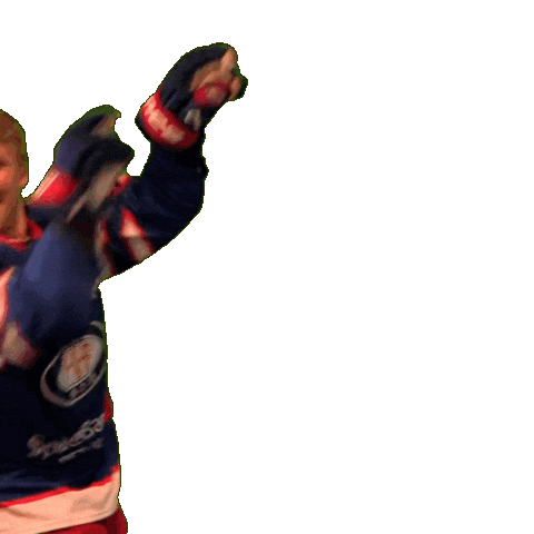 Dance Win Sticker by VIF Hockey