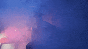 Dario Argento Halloween GIF by CALABRESE