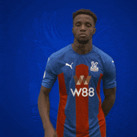 Premier League Celebration GIF by CPFC