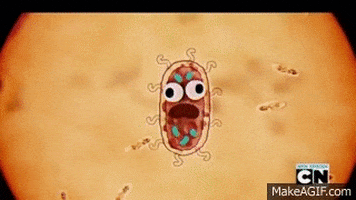 bacteria GIF