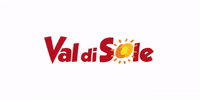 valdisole valdisole GIF