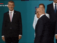 Donald Trump GIF