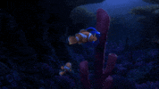 just keep swimming finding dory GIF by Disney/Pixar's Finding Dory