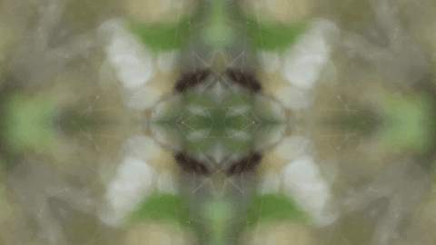 Art Love GIF by jorgemariozuleta