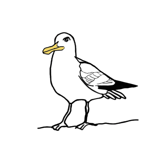 RTLNord giphyupload moin kiel nordsee Sticker