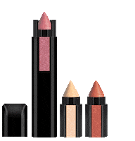 Beauty Makeup Sticker by Renee Cosmetics