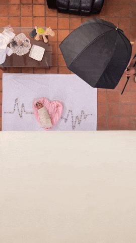 giphy.gif