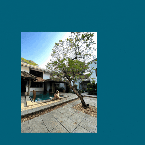 insialacewalla giphyupload GIF