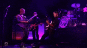 Snl Willow GIF by Saturday Night Live