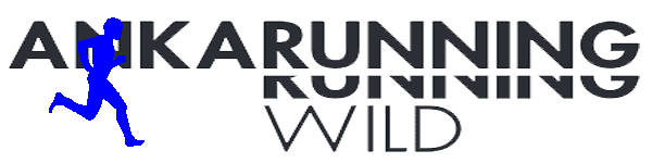 anka Sticker by ANKARUNNING