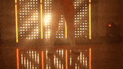 Softball Tennessee GIF by NCAA Championships