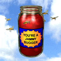 Lucky You Bees GIF