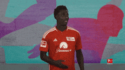 Union Berlin Kiss GIF by Bundesliga