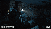 mahershala ali hbo GIF by True Detective