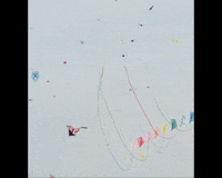 Flying High Summer GIF by Beeld en Geluid