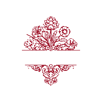 AchavalFerrer wine argentina vino vinho Sticker