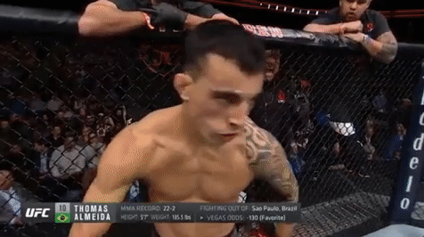 ufc 220 mma GIF by UFC