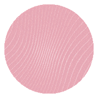 karinafinalizadores karina karina flora cabelo karina penteado karina Sticker