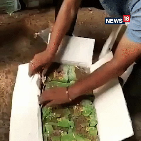 news18 giphyupload GIF