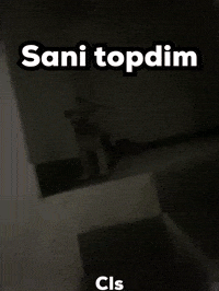 Dog Cls GIF