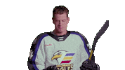Sticker by Colorado Eagles