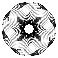 POLAMarketing pola pola studio pola marketing polastudio Sticker