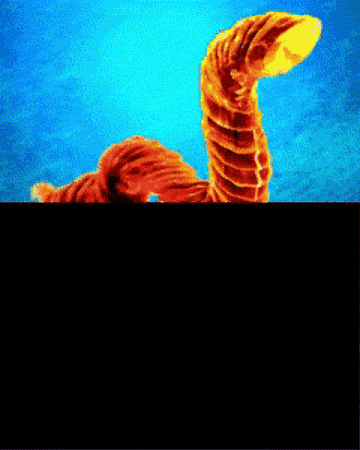 Lightspore giphygifmaker rfk brain worm boy GIF