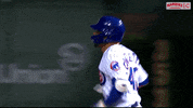 Cubs GIF by Marquee Sports Network
