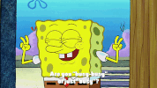 season 9 episode 13 GIF by SpongeBob SquarePants