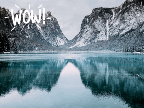 Germany Wow GIF by FranchiseCHECK.de