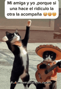 Hace La Otra GIF by Murcianys LLC