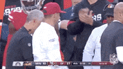 National Football League GIF by NFL