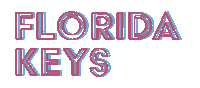 Florida Keys Sticker by Charley Young